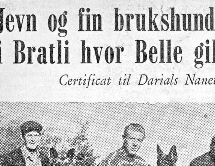 Stevne i Bratliparken 10/10-65.
Fra v: Ebel Aslaksen m/Prins,Jan Tveter m/Bonnie, Åge Borgersen m/ Kjæråsens Vicki, Jørgen Stiansen m/Belle som vant stevnet!